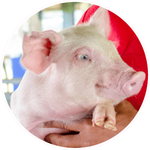 ES_Symposium2024_EventImage